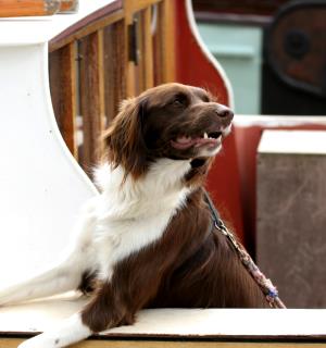 2005-08-04 Leer Traditionschiffertreffen 121-1_34.jpg